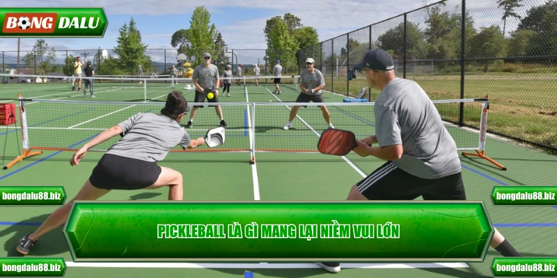 Pickleball là gì mang lại niềm vui lớn