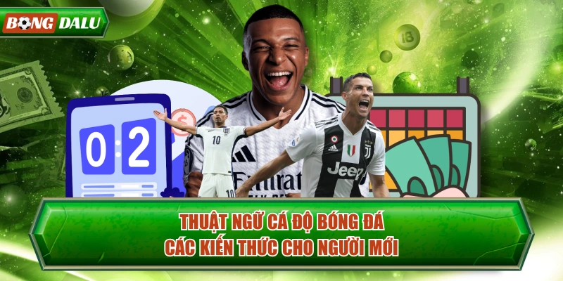 Thuật Ngữ Cá Độ Bóng Đá - Các Kiến Thức Cho Người Mới