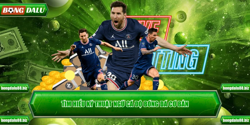 Tìm hiểu kỹ thuật ngữ cá độ bóng đá cơ bản